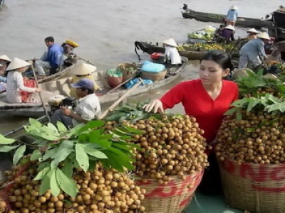 Tour Du Lịch Sông Nước Miền Tây 6 Ngày 5 Đêm